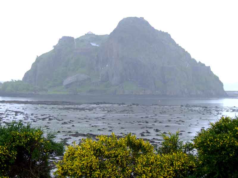 DSCF1515.jpg