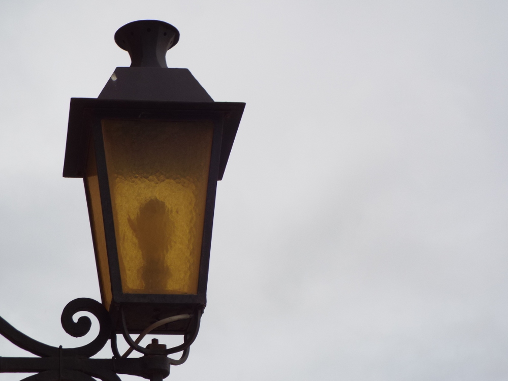 DSCF1516.JPG