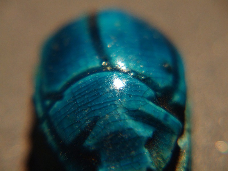 DSCF1516_web.JPG