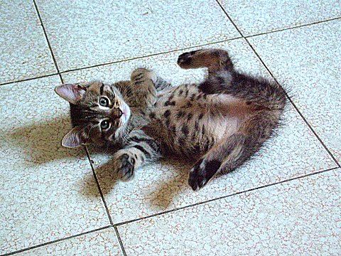 DSCF1540.JPG