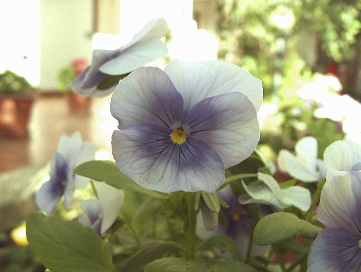 DSCF1579b.JPG