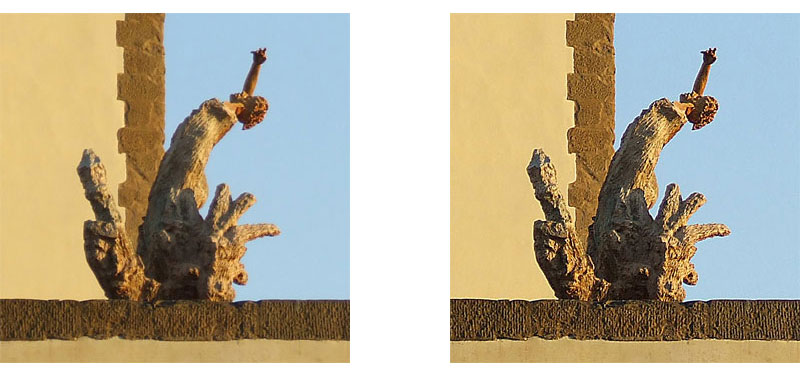 DSCF1596ab.jpg
