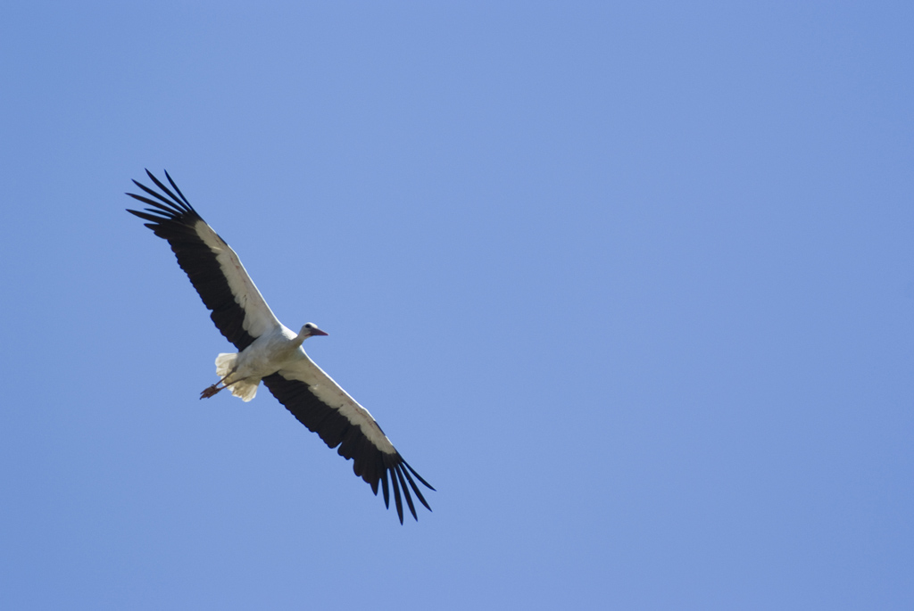 DSCF1613-r.jpg