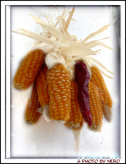 DSCF1656-copia2.jpg