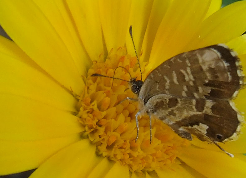 DSCF1671_crop.jpg