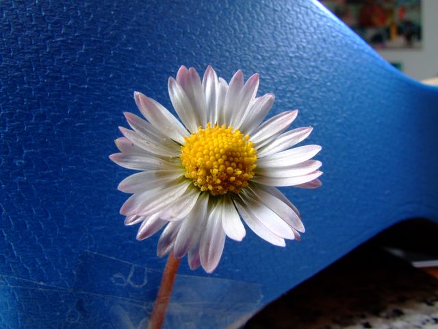 DSCF1673 [640x480].JPG