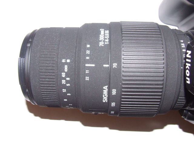 DSCF1700_1.JPG