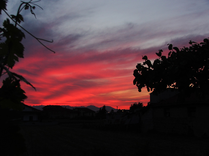 DSCF1745_2.jpg