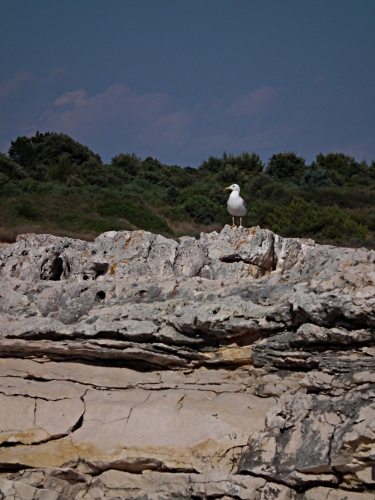 DSCF1747.JPG