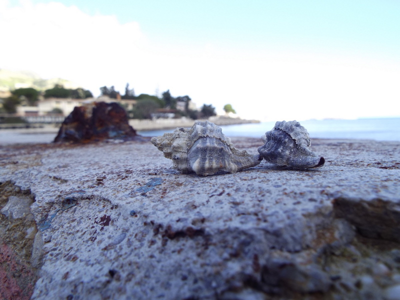 DSCF1751.JPG