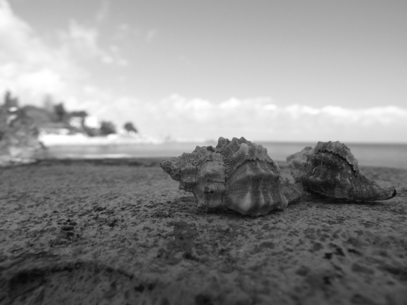 DSCF1756.JPG