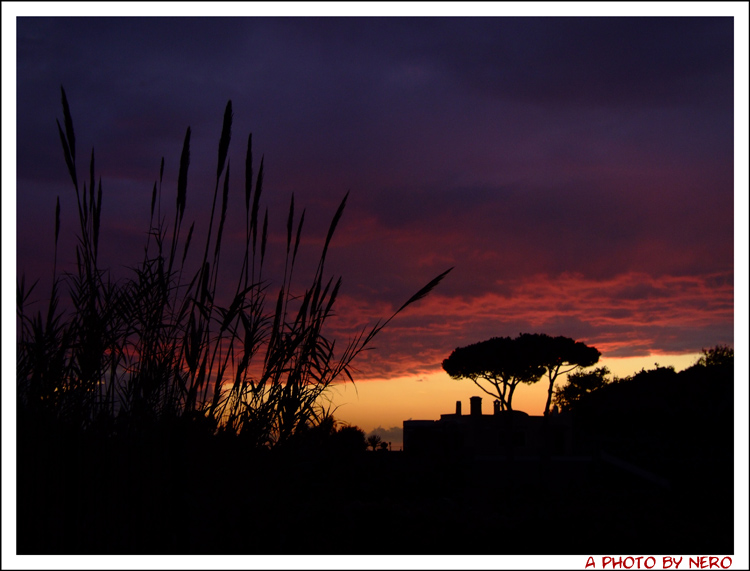 DSCF1803.jpg