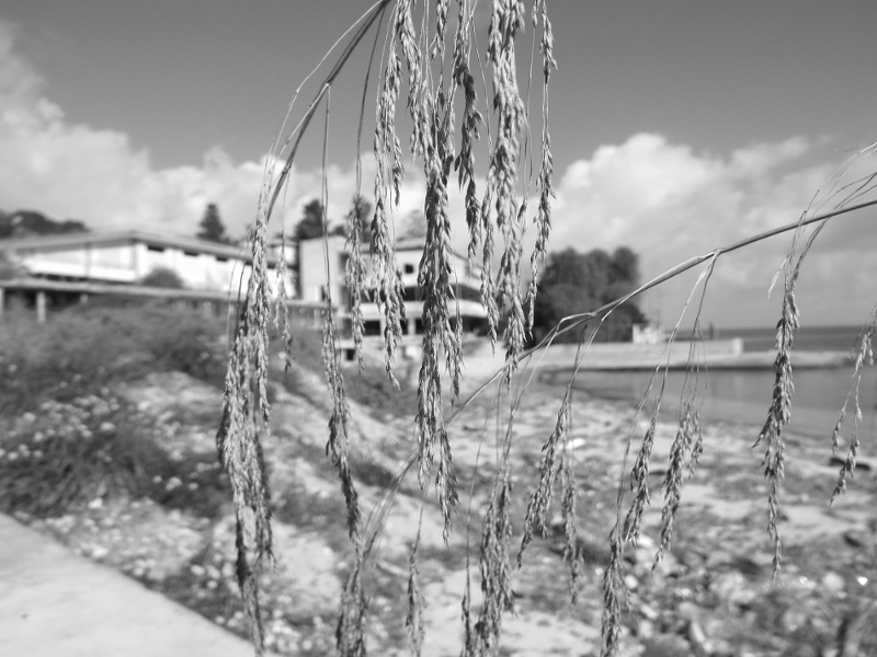 DSCF1809.JPG