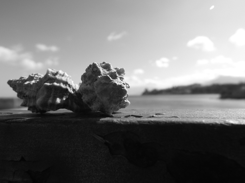 DSCF1817.JPG