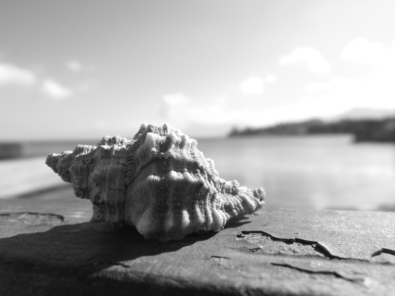 DSCF1821.JPG