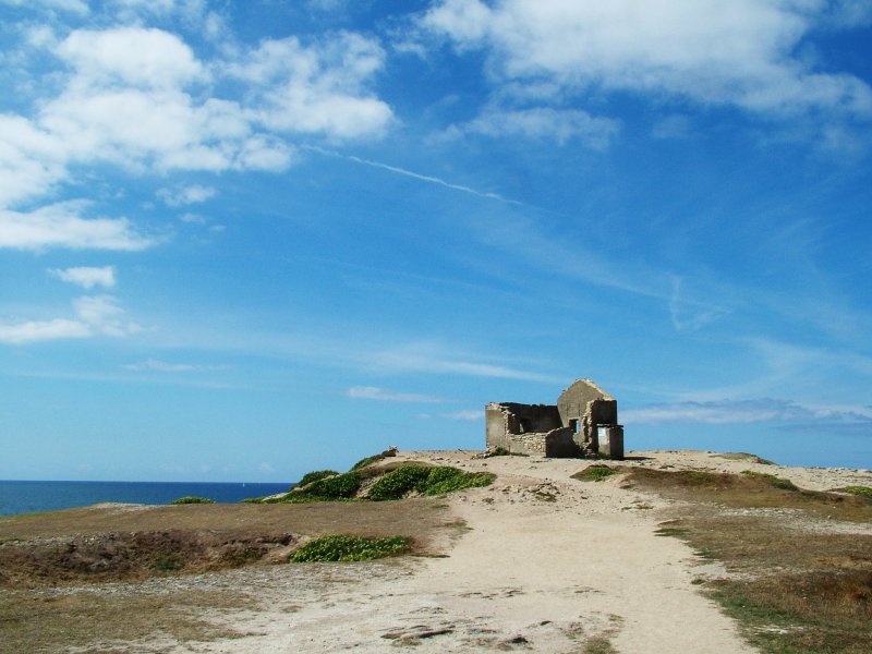DSCF1846.JPG