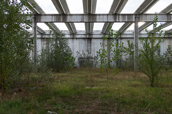 DSCF1914-2.jpg