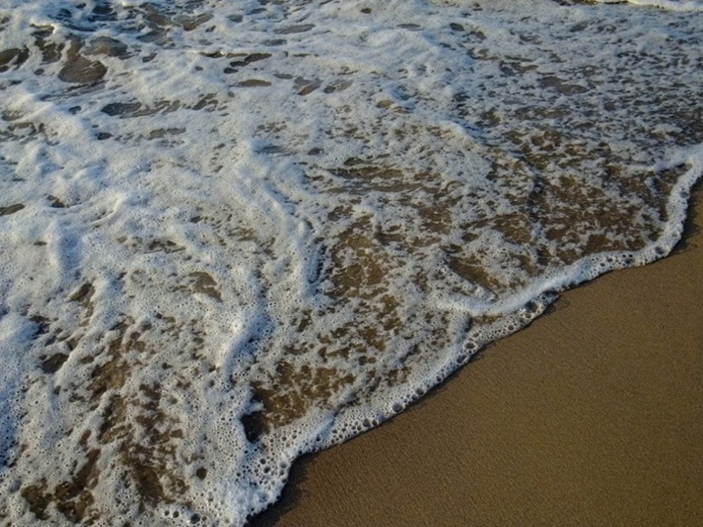 DSCF2035.jpg