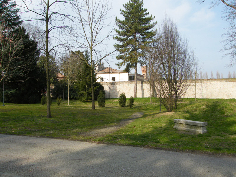 DSCF2043_tutta.jpg