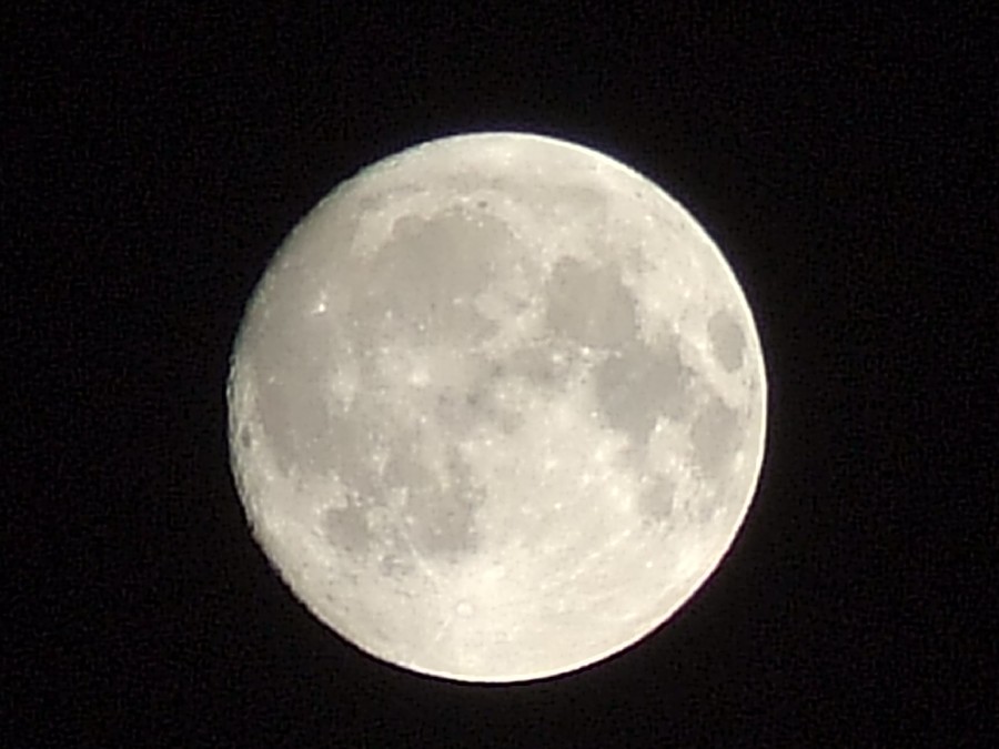 DSCF2064.JPG1.jpg