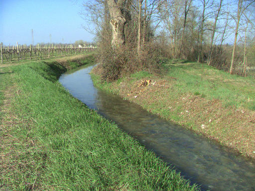 DSCF2080_t.JPG
