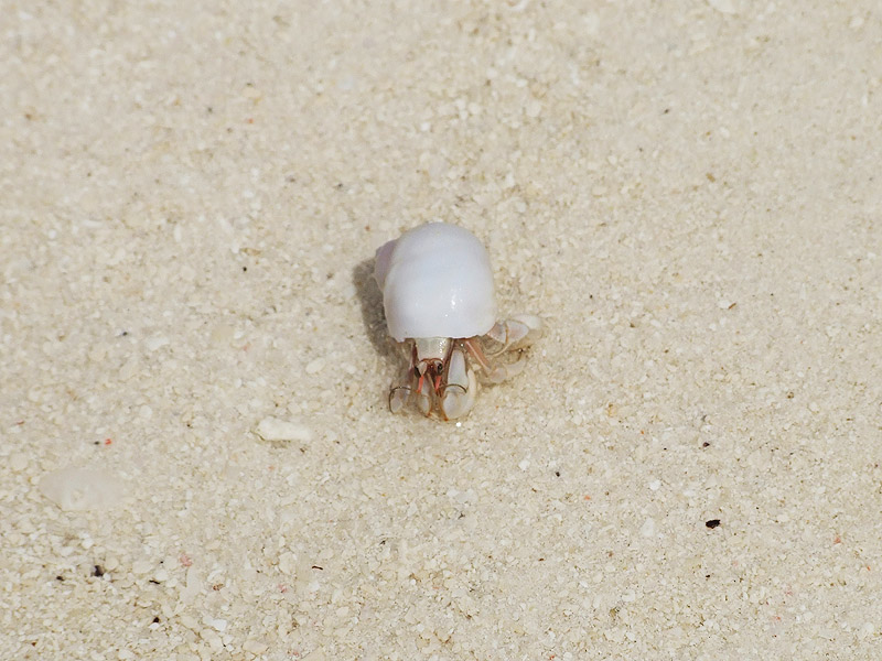 DSCF2086.jpg