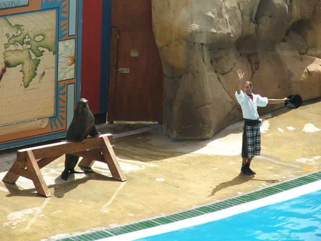 DSCF2093.jpg