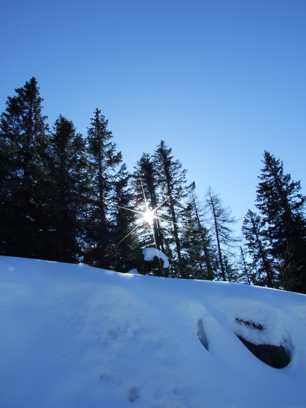DSCF2098.JPG