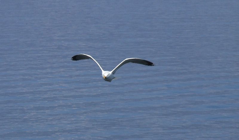 DSCF2107.JPG