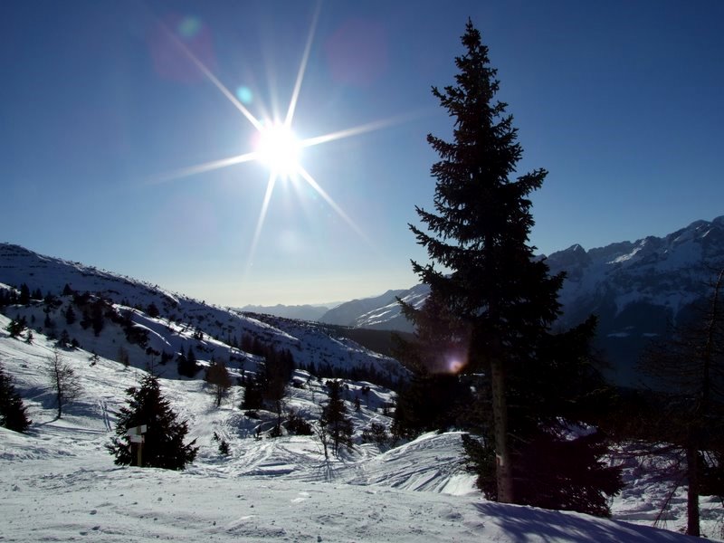 DSCF2112.JPG
