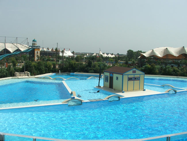 DSCF2114.jpg