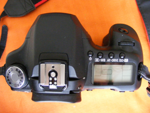 DSCF2121.jpg