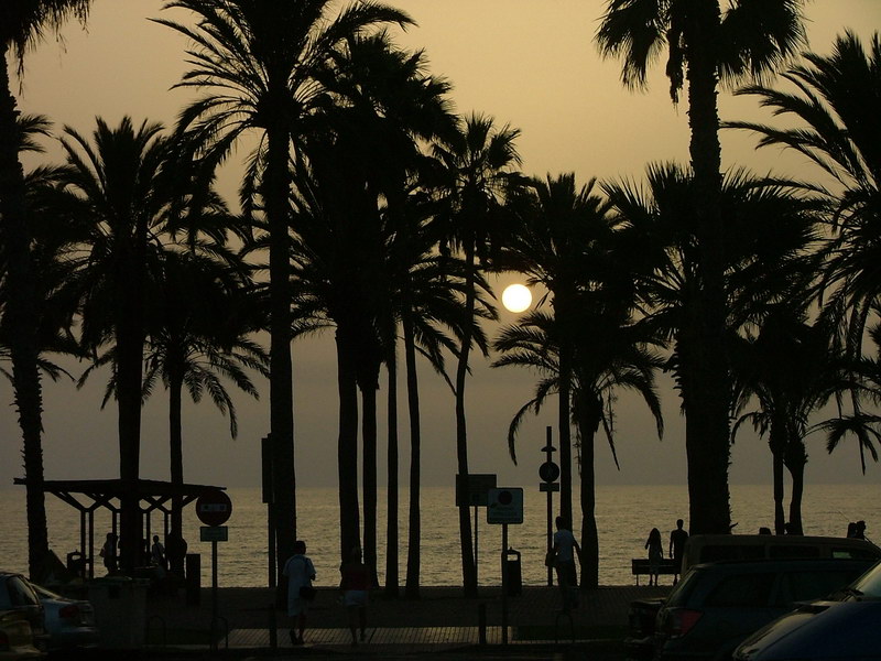 DSCF2159.JPG