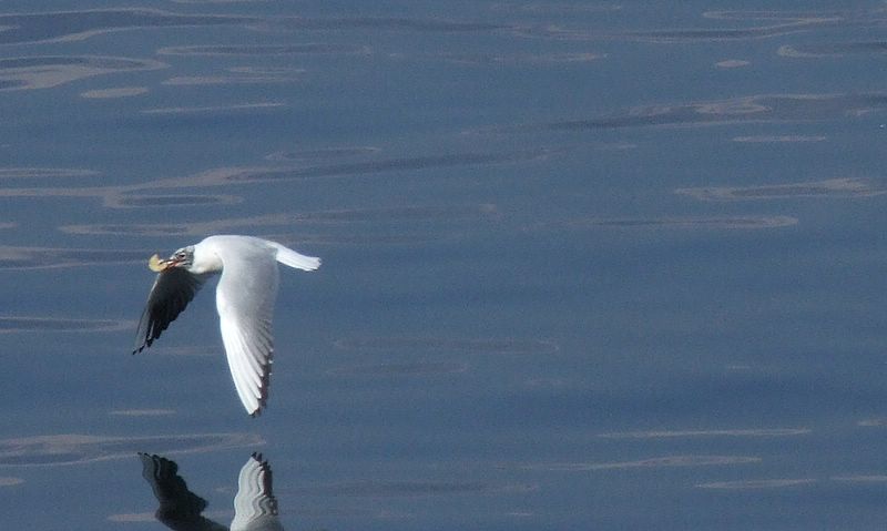 DSCF2161.JPG