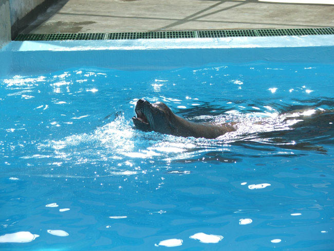 DSCF2169.jpg