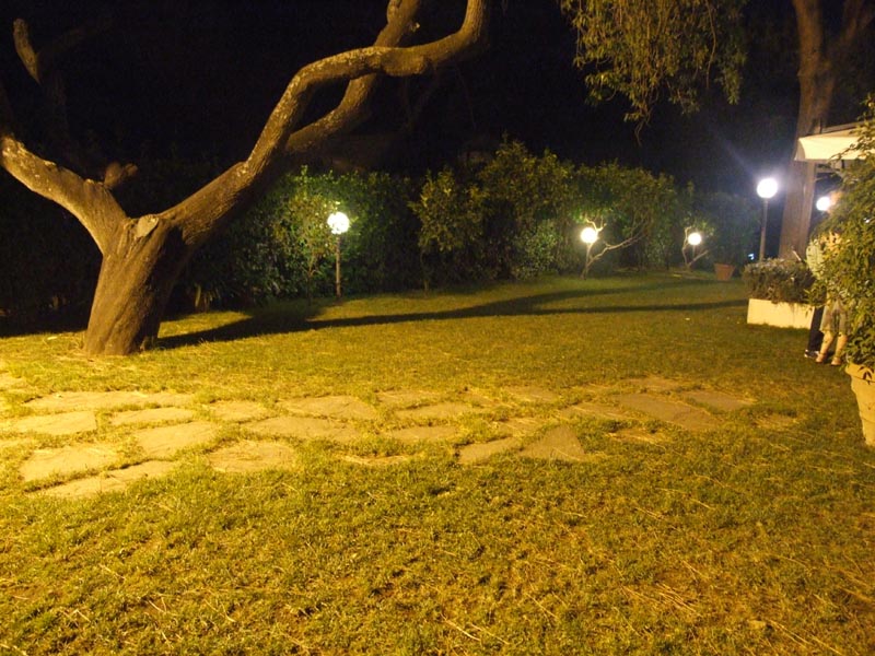 DSCF2175.jpg