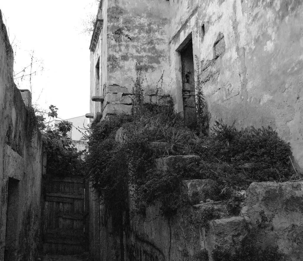 DSCF2272.jpg