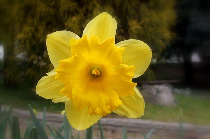 DSCF2274.JPG