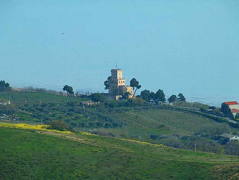 DSCF2310_2_prova.JPG