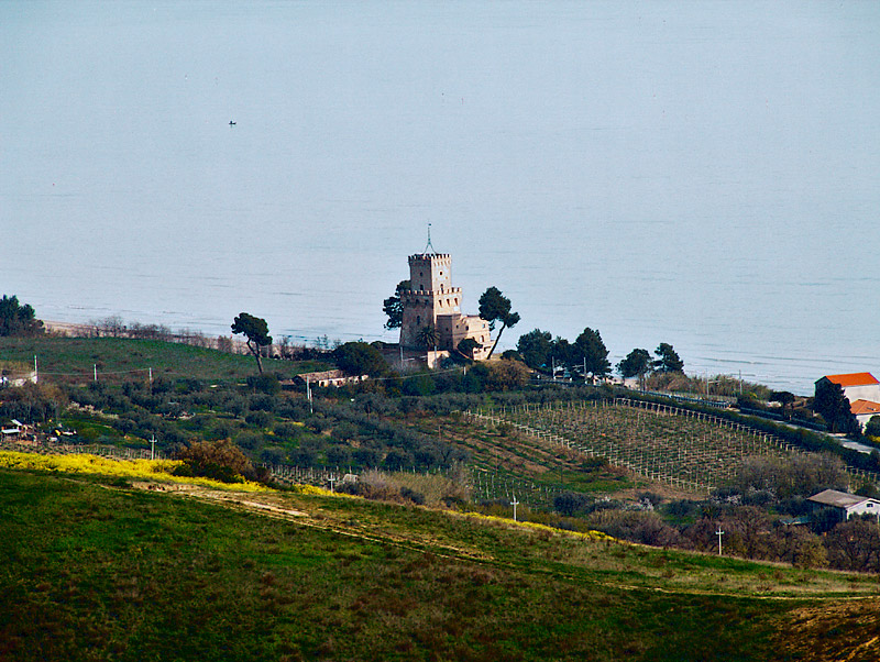 DSCF2310.jpg