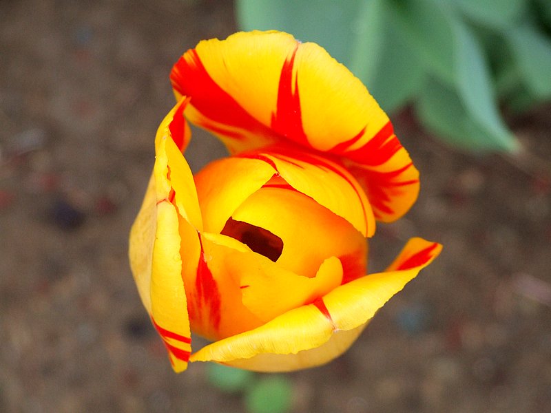 DSCF2355-2.JPG