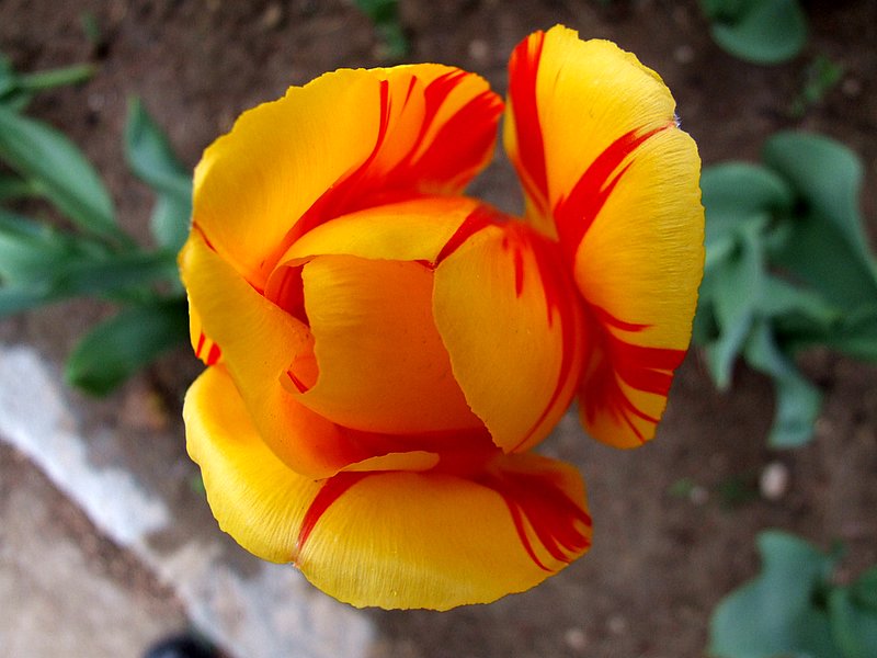 DSCF2356.JPG