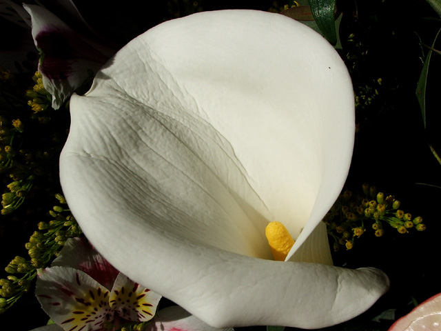 DSCF2391_1.jpg