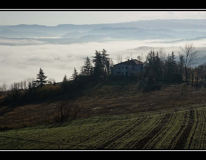 DSCF2391.jpg