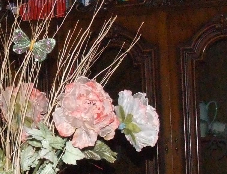 DSCF2402.jpg