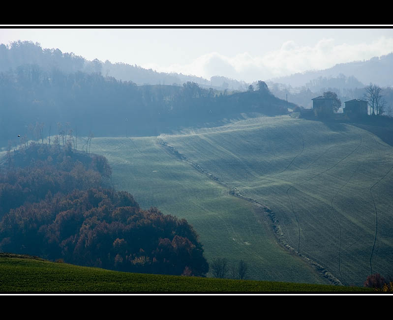 DSCF2405.jpg
