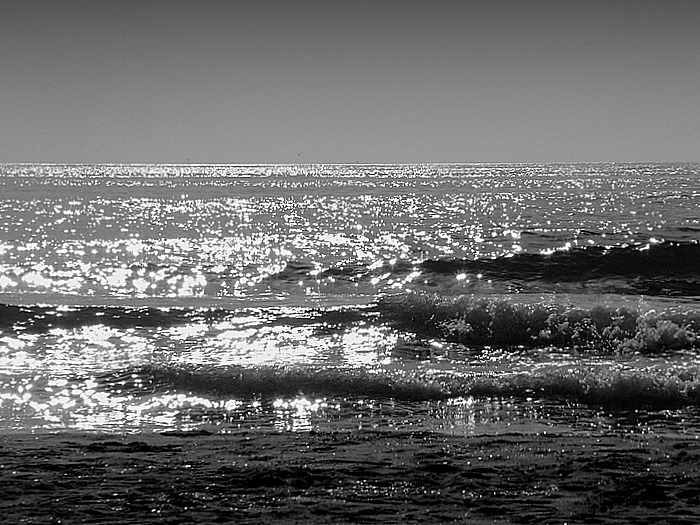 DSCF2411.JPG