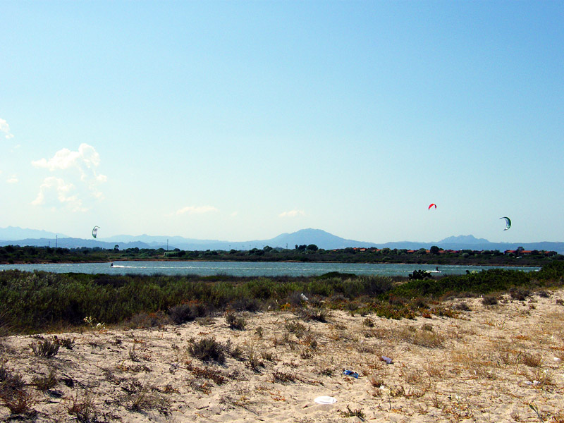DSCF2434.jpg