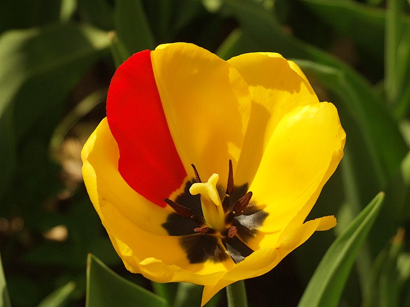 DSCF2439-1.JPG