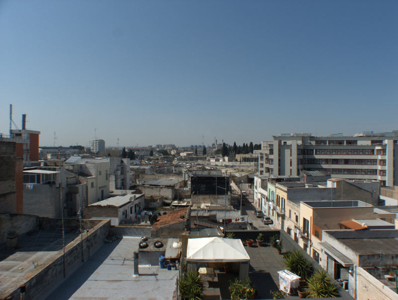 DSCF2452raynox.jpg
